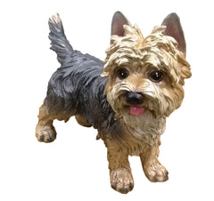 WANLIAN Yorkshire Terrier front view showing lifelike pose and charm