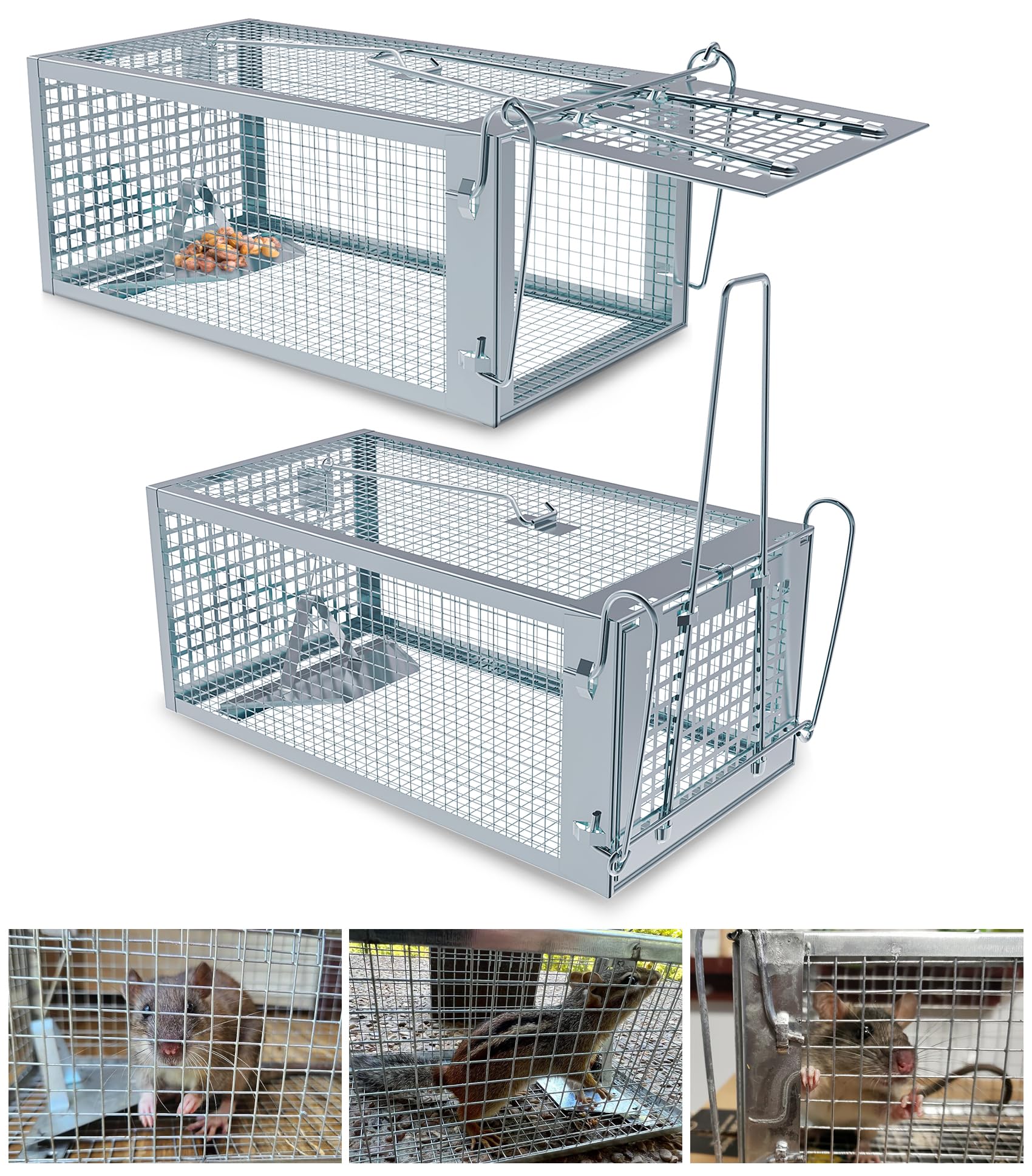 Wanqueen front view live-capture cage showing entry and benefit of humane design