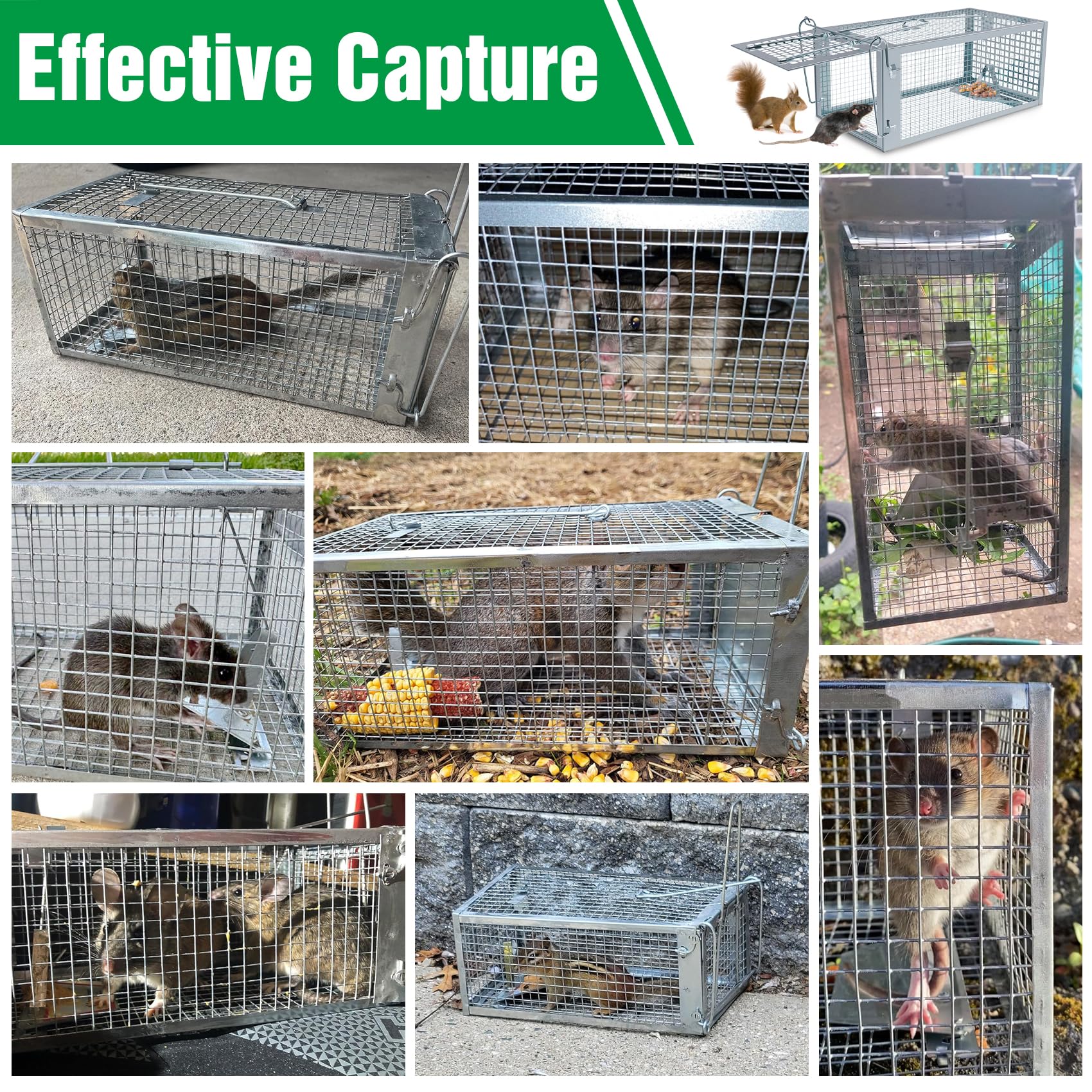 Wanqueen trap placed in garden illustrating humane outdoor use benefit