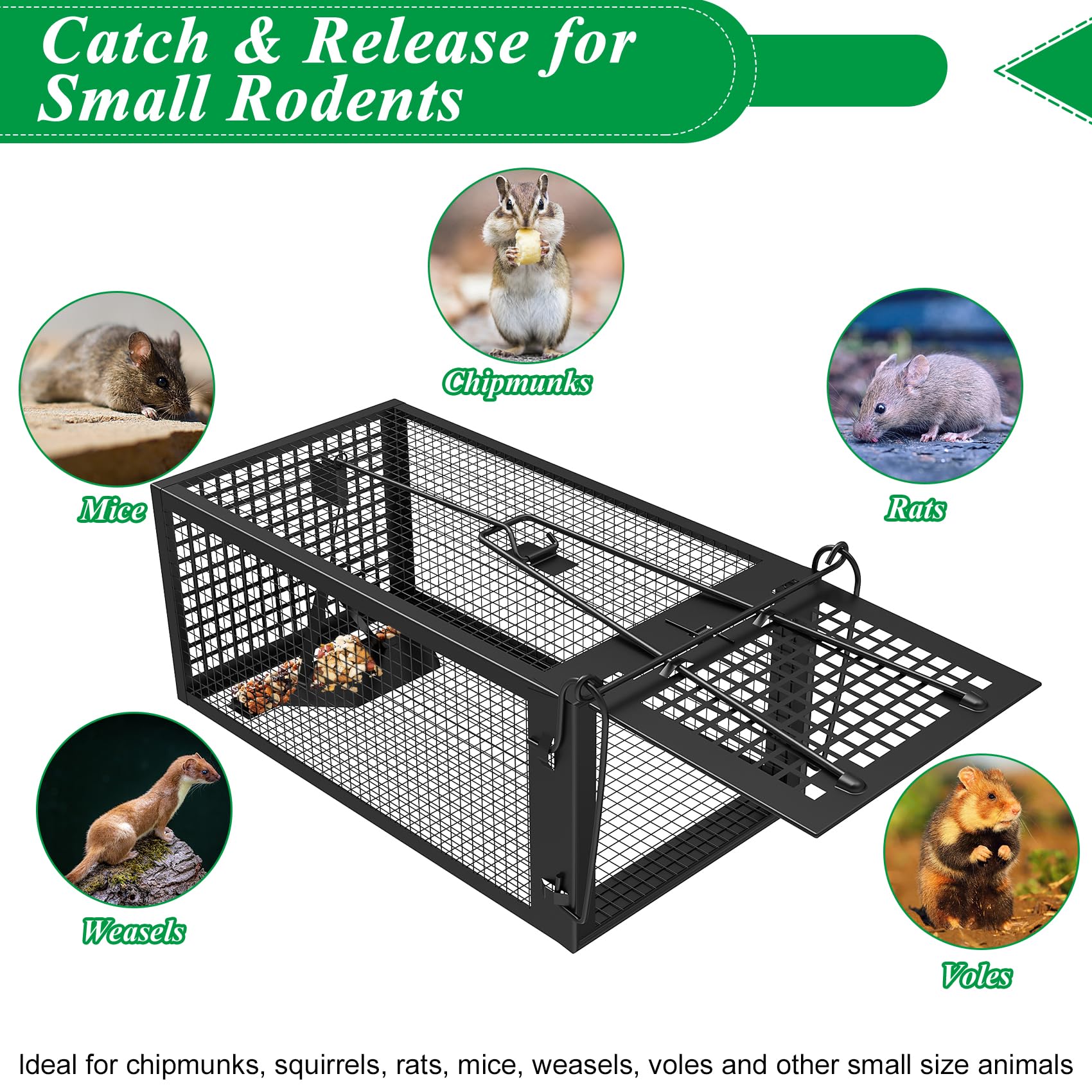 Wanqueen trap placed in a kitchen corner demonstrating safe indoor rodent capture