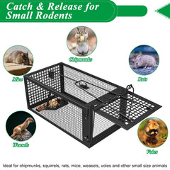 Wanqueen trap placed in a kitchen corner demonstrating safe indoor rodent capture