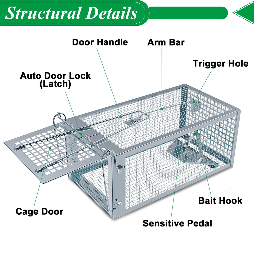 Wanqueen trap held in hand showing compact scale and easy portability benefit