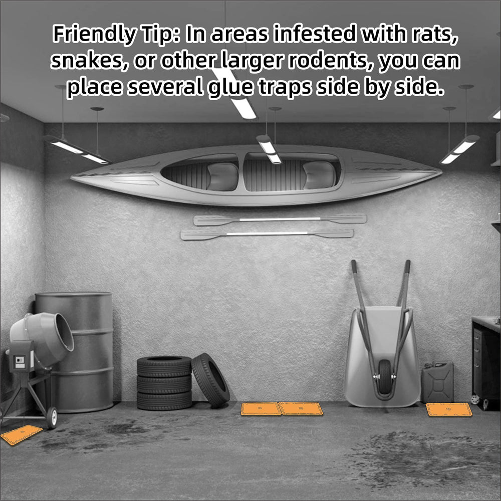 Wanqueen trap positioned in a warehouse aisle protecting inventory