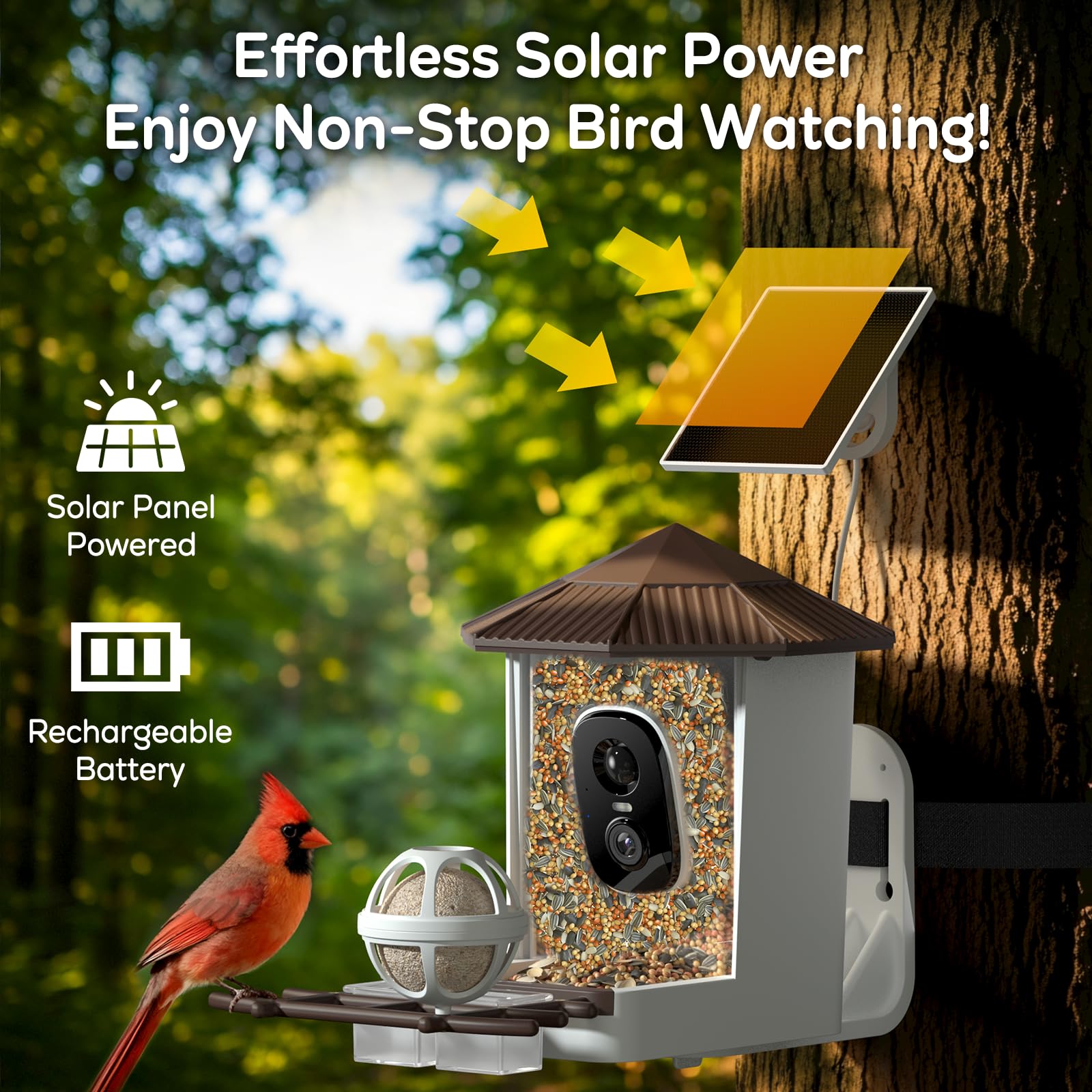 wansview mounted on tree lifestyle display for yard or balcony birdwatching