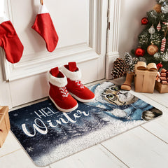 WARDOS mat shown in doorway to illustrate 17x30 inches size