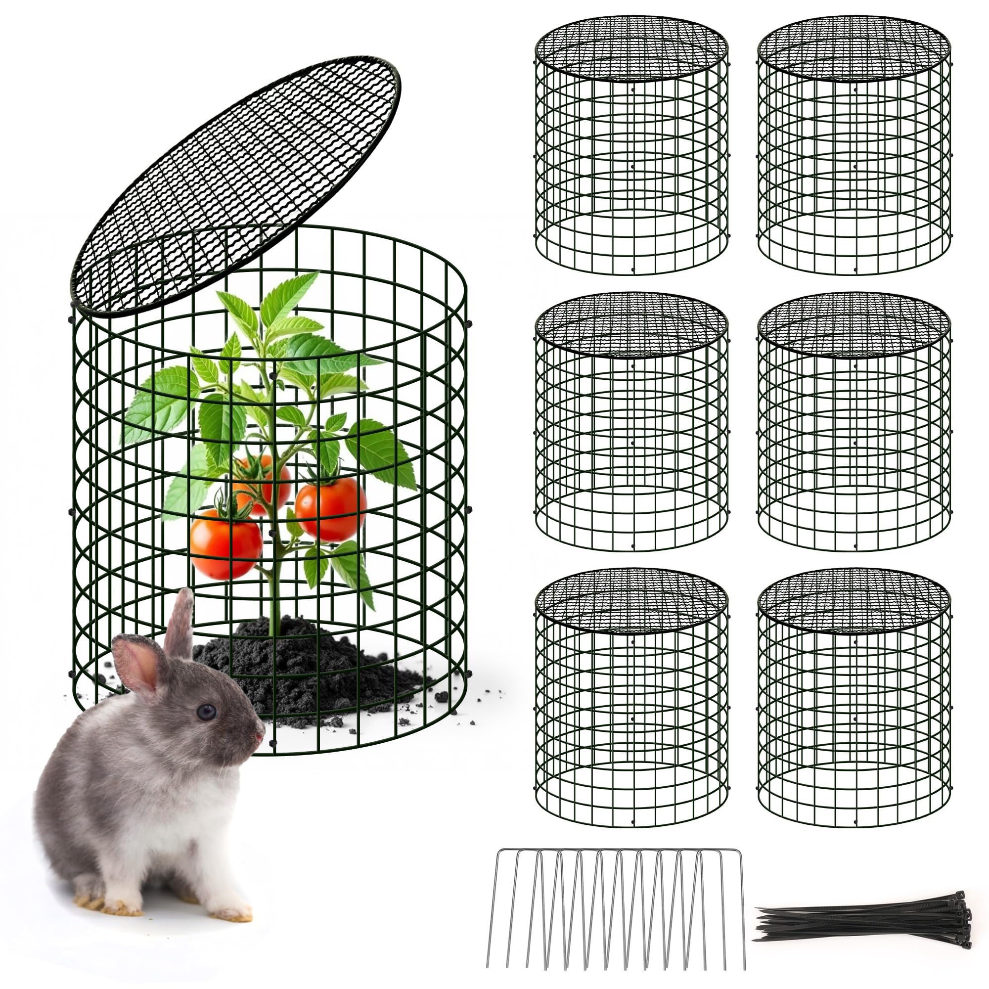 warmfarm front view of assembled cloche protecting plants, shows easy protection