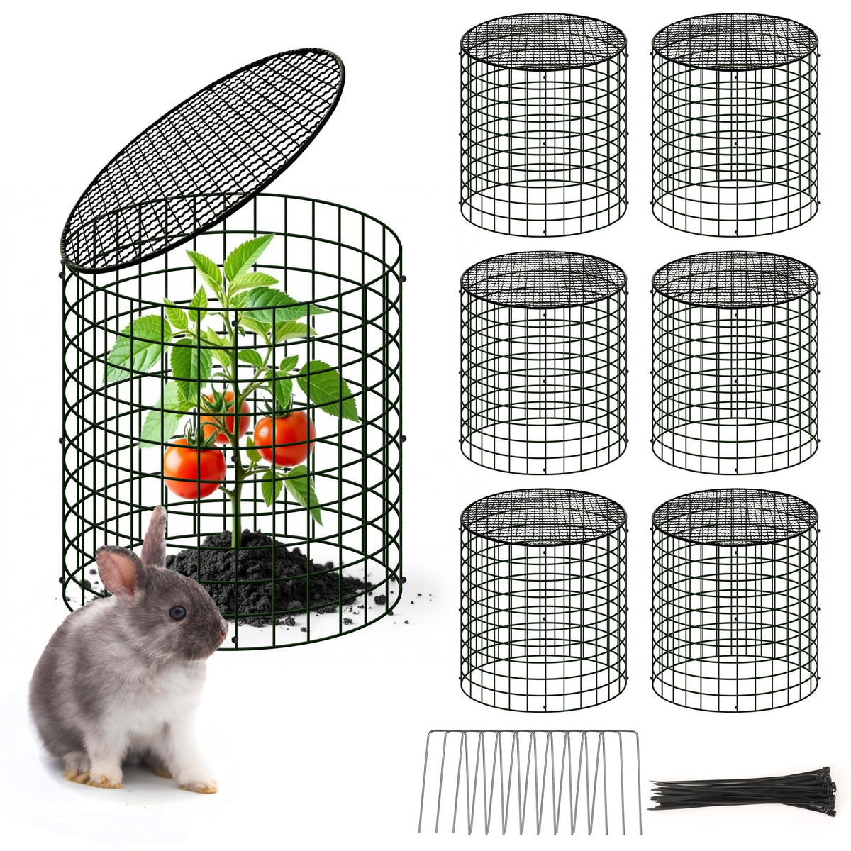 warmfarm front view of assembled cloche protecting plants, shows easy protection