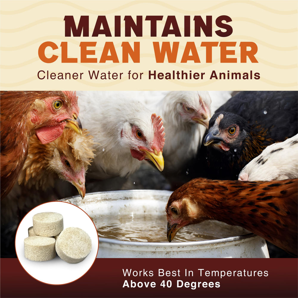 Waste Tank Formula used at a farm trough with livestock showing safer water benefit
