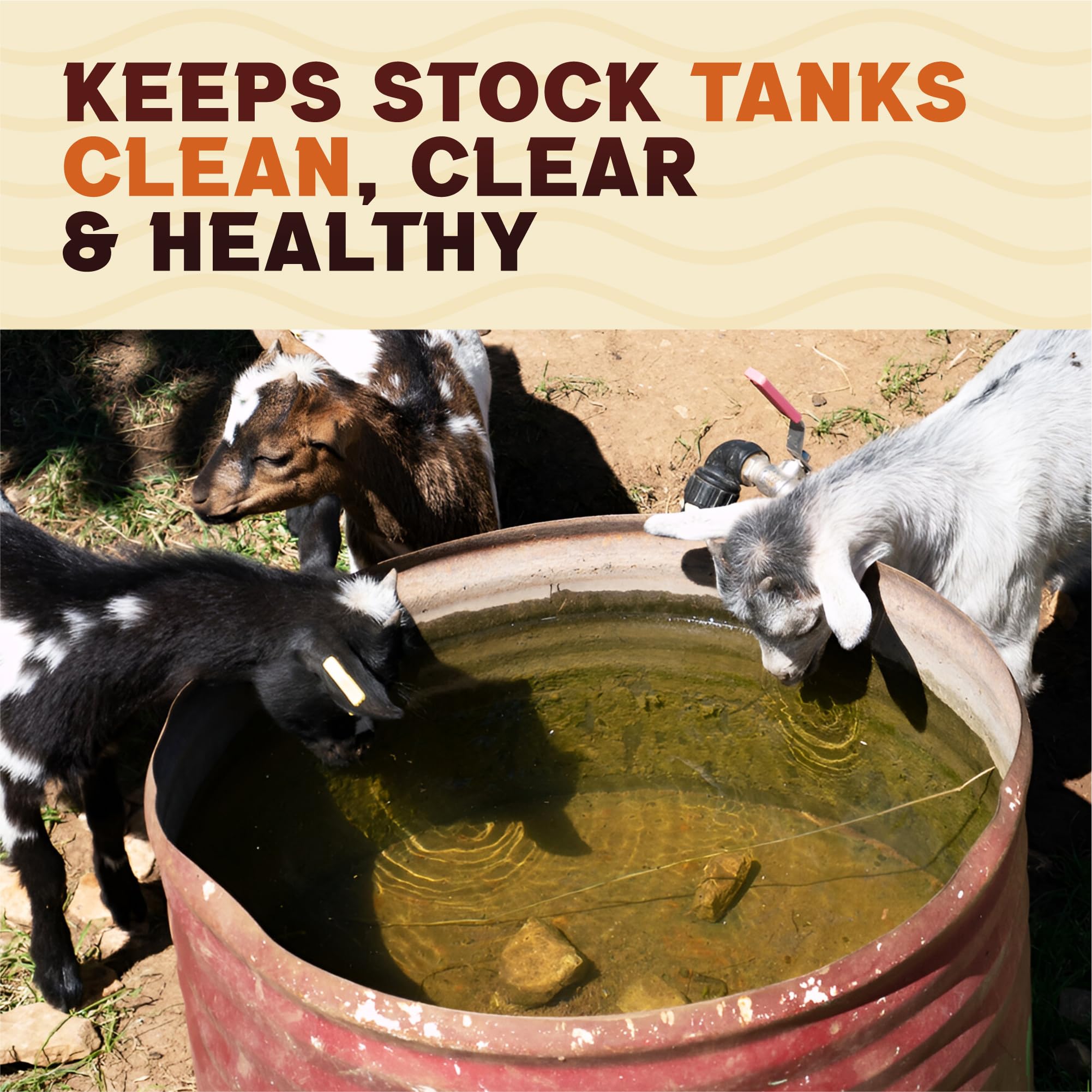 Waste Tank Formula packaged jar on a store shelf showing clean storage benefit