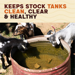 Waste Tank Formula packaged jar on a store shelf showing clean storage benefit