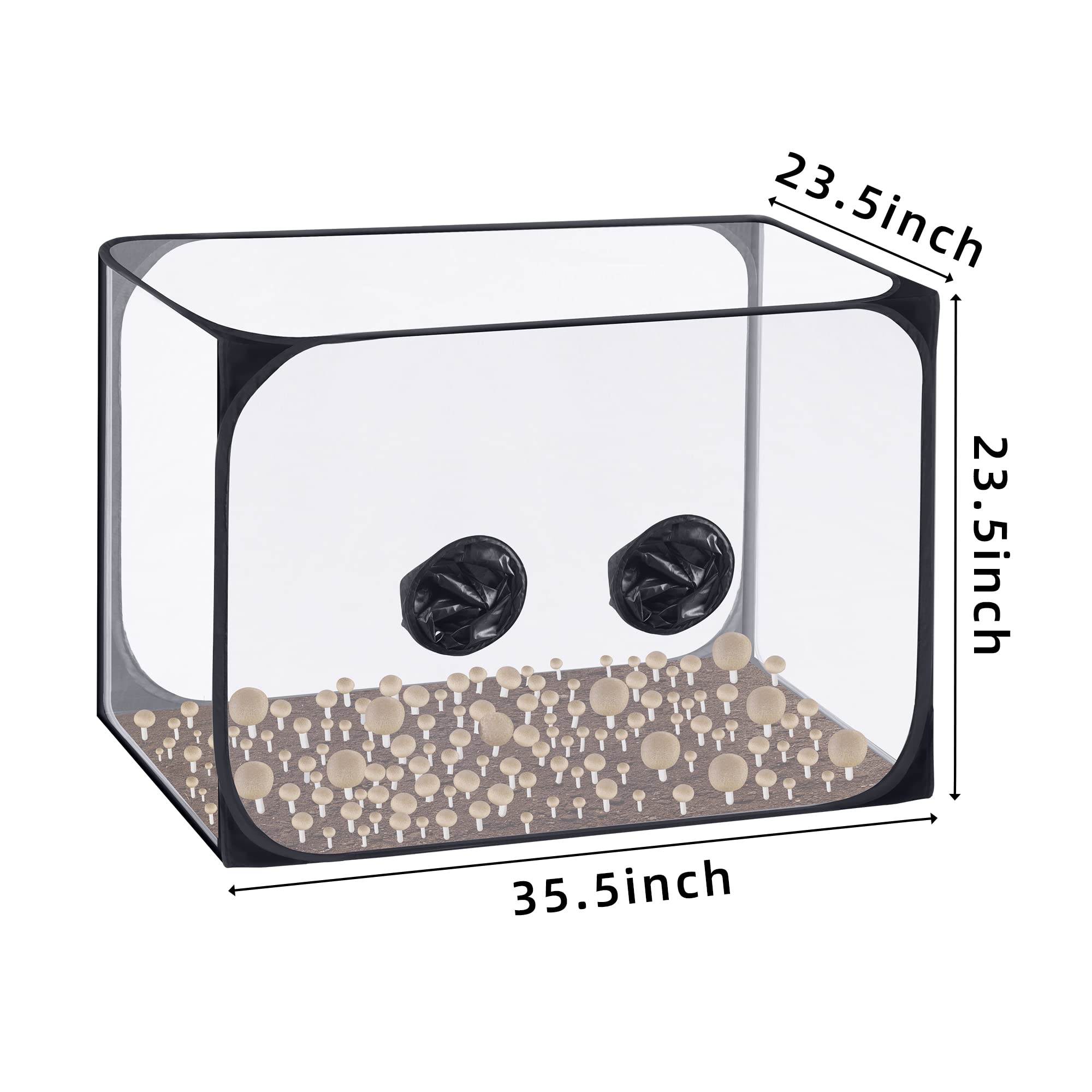 Watayo interior view with substrate blocks demonstrating contained observation benefit