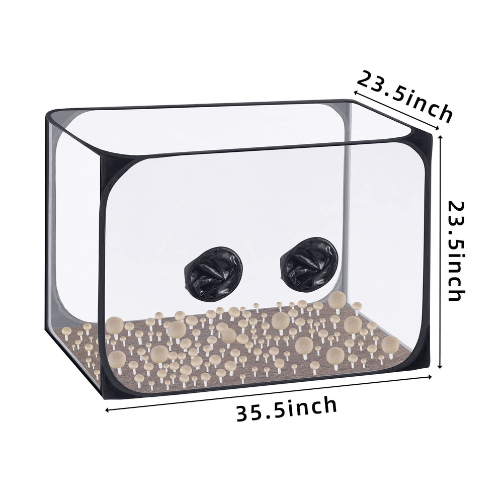 Watayo interior view with substrate blocks demonstrating contained observation benefit