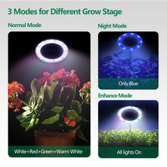 WaterRebirth positioned higher over a tall plant demonstrating adjustable height benefit
