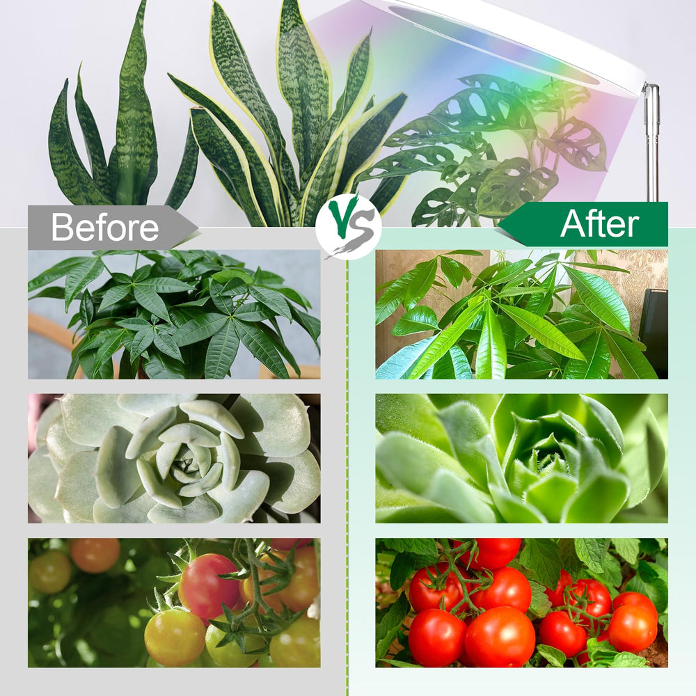 WaterRebirth emitting gentle night-mode glow to reduce light stress on plants