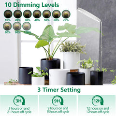 WaterRebirth illuminating multiple potted plants on a shelf for uniform growth