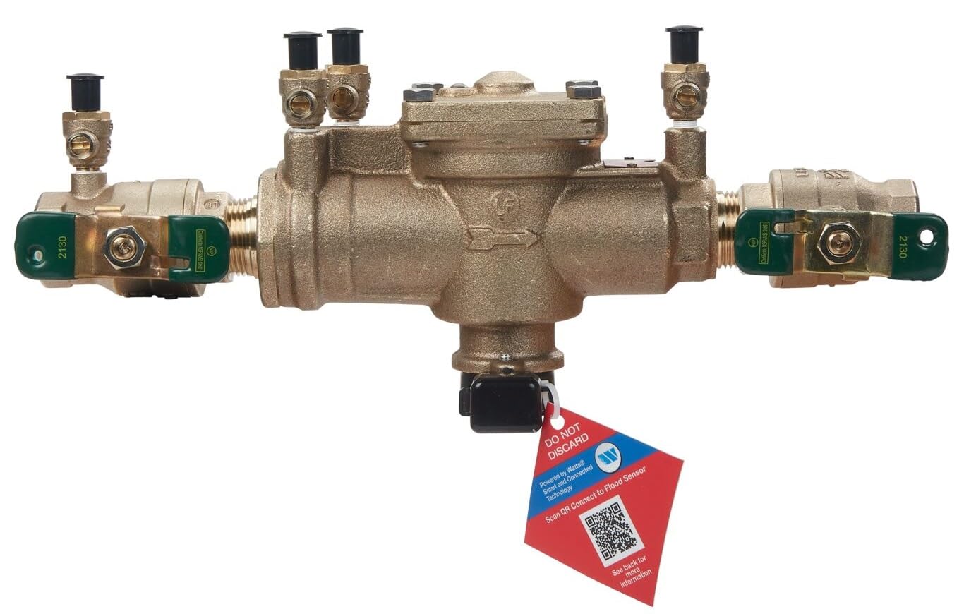 Watts LF009M2QT front view showing compact lead-free housing and connection points for easy installation