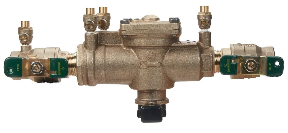 Watts LF009M2QT installed on commercial piping showing scale for size and straightforward service access