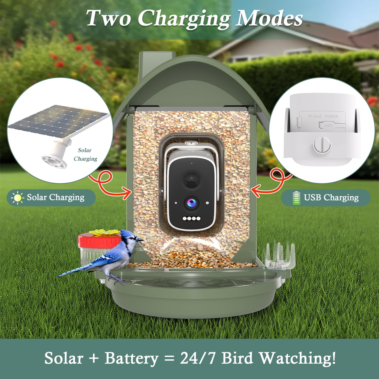 WAVEEME backyard lifestyle with family viewing feeder encouraging shared nature learning