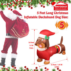 WAYDEKO dachshund illuminated at night creating visible holiday cheer
