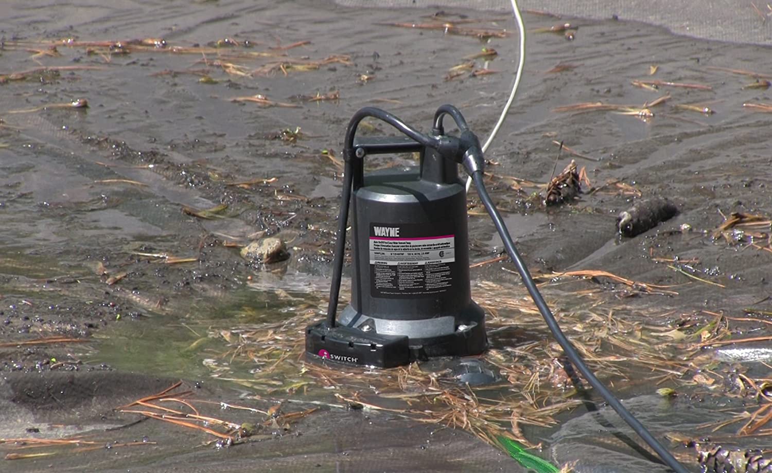WAYNE WAPC250 next to hose showing scale and 3,000 GPH high flow capacity