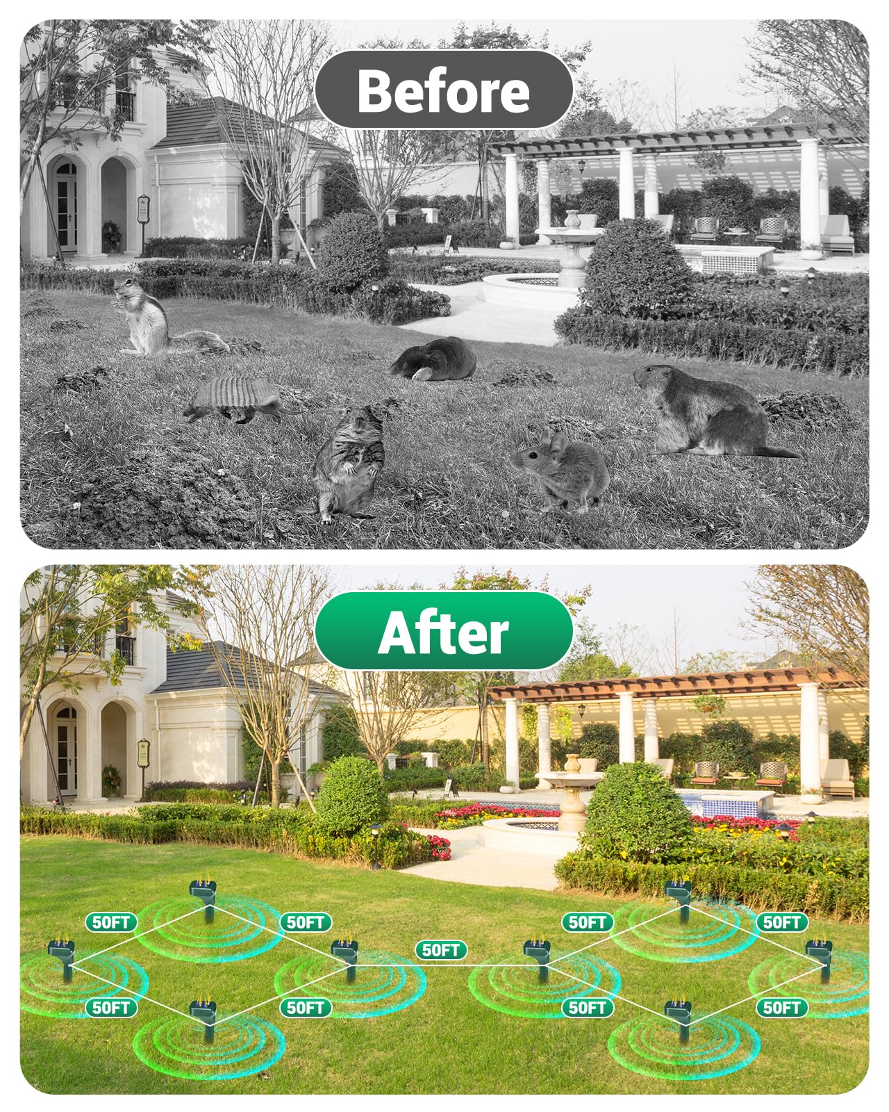 WAYSLA stakes placed around garden bed providing humane pest deterrence