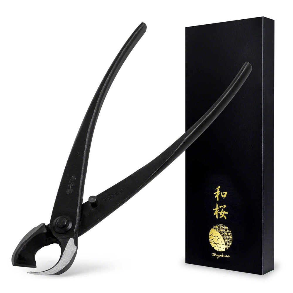 Wazakura front view with black gift box showing premium presentation