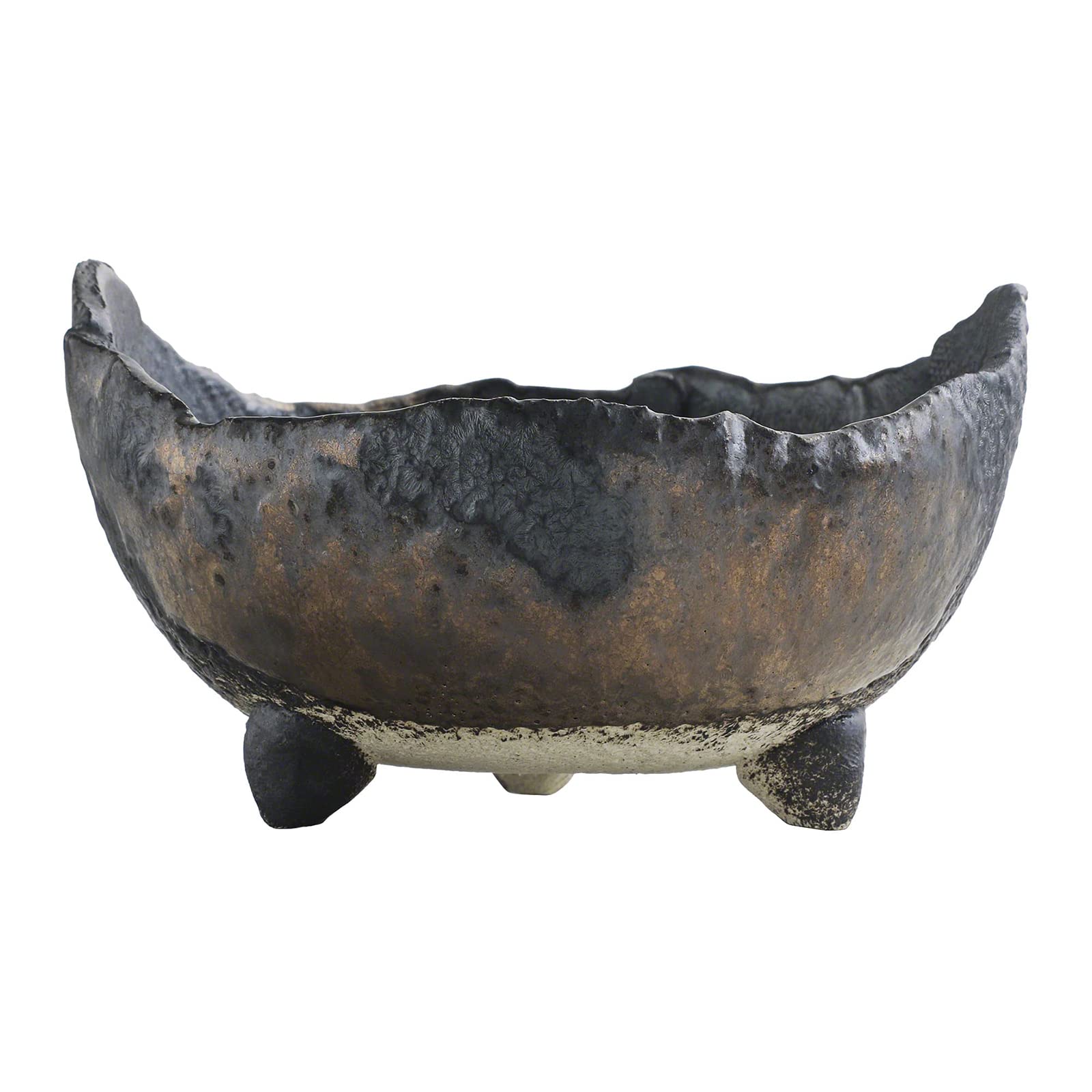 Wazakura on a shelf styled indoors offering decorative planting appeal
