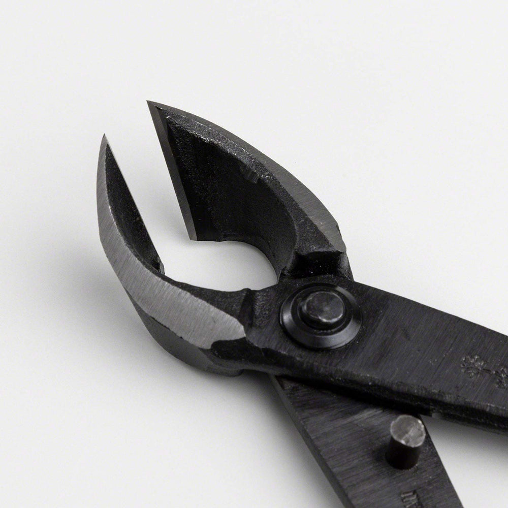 Wazakura side profile highlighting handle shape for comfortable grip
