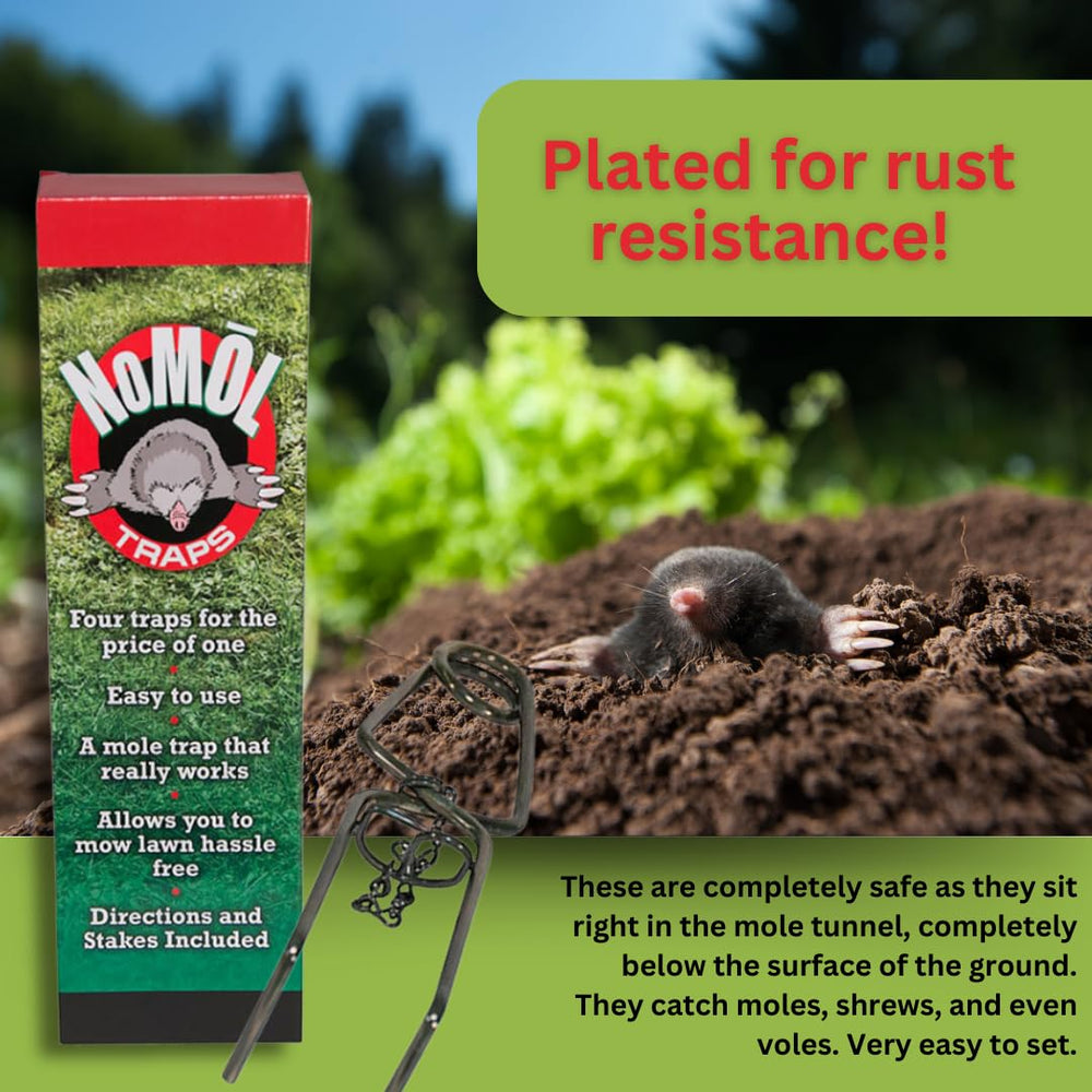 WCS NoMol in a garden scene showing professional-looking pest control result
