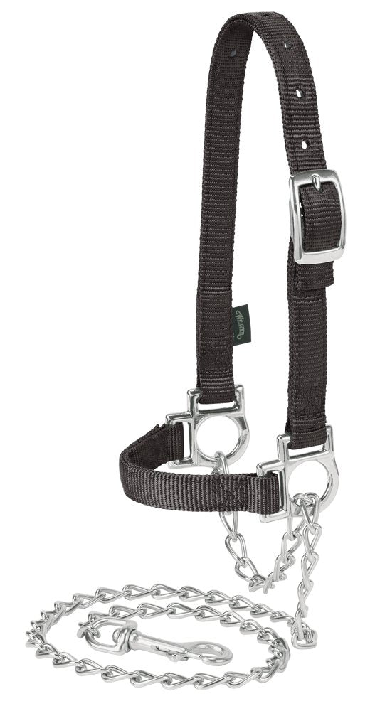 Weaver Livestock front view of black halter with chain for secure handling