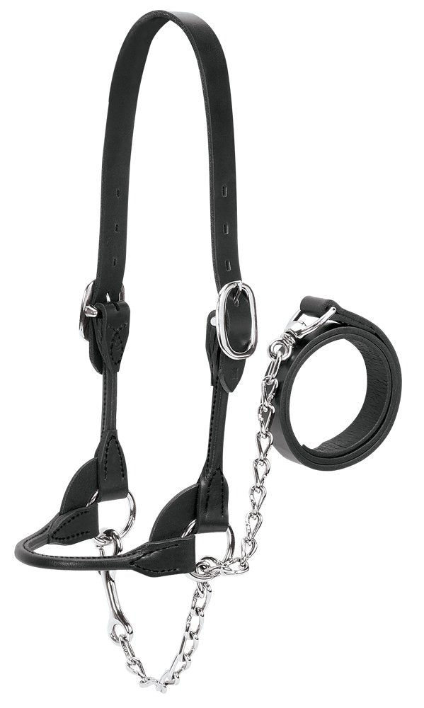 Weaver Leather front view showing rounded noseband and polished finish for comfort