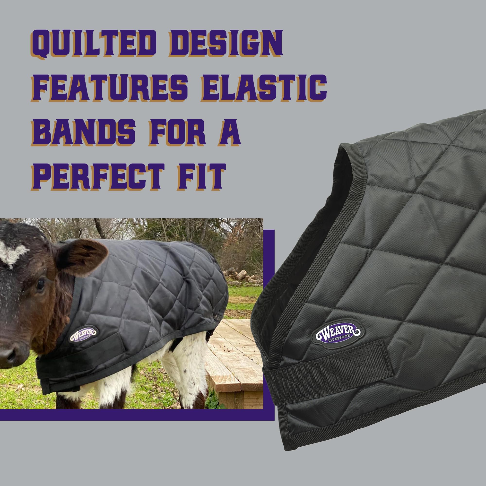 Weaver Livestock adjustable strap and quick-release buckle for fast use