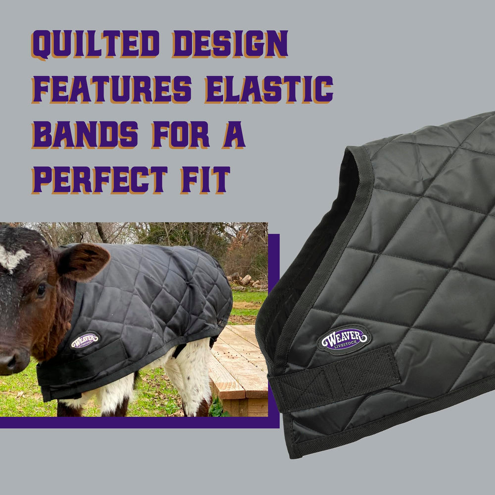 Weaver Livestock adjustable strap and quick-release buckle for fast use