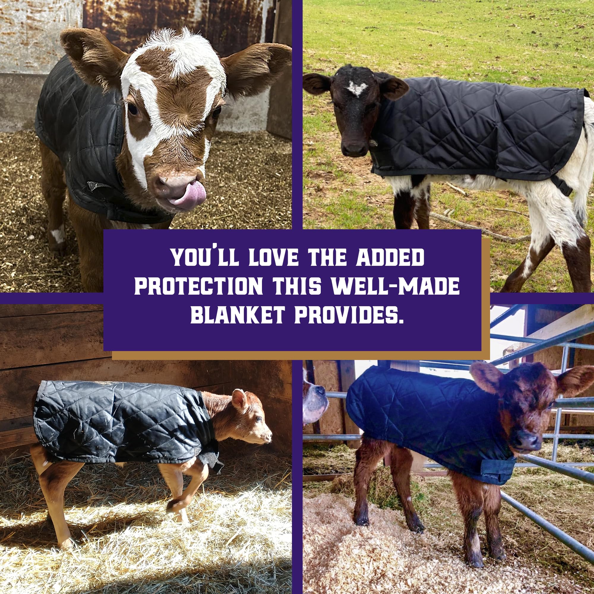 Weaver Livestock belly protection and elastic fit preventing rubbing