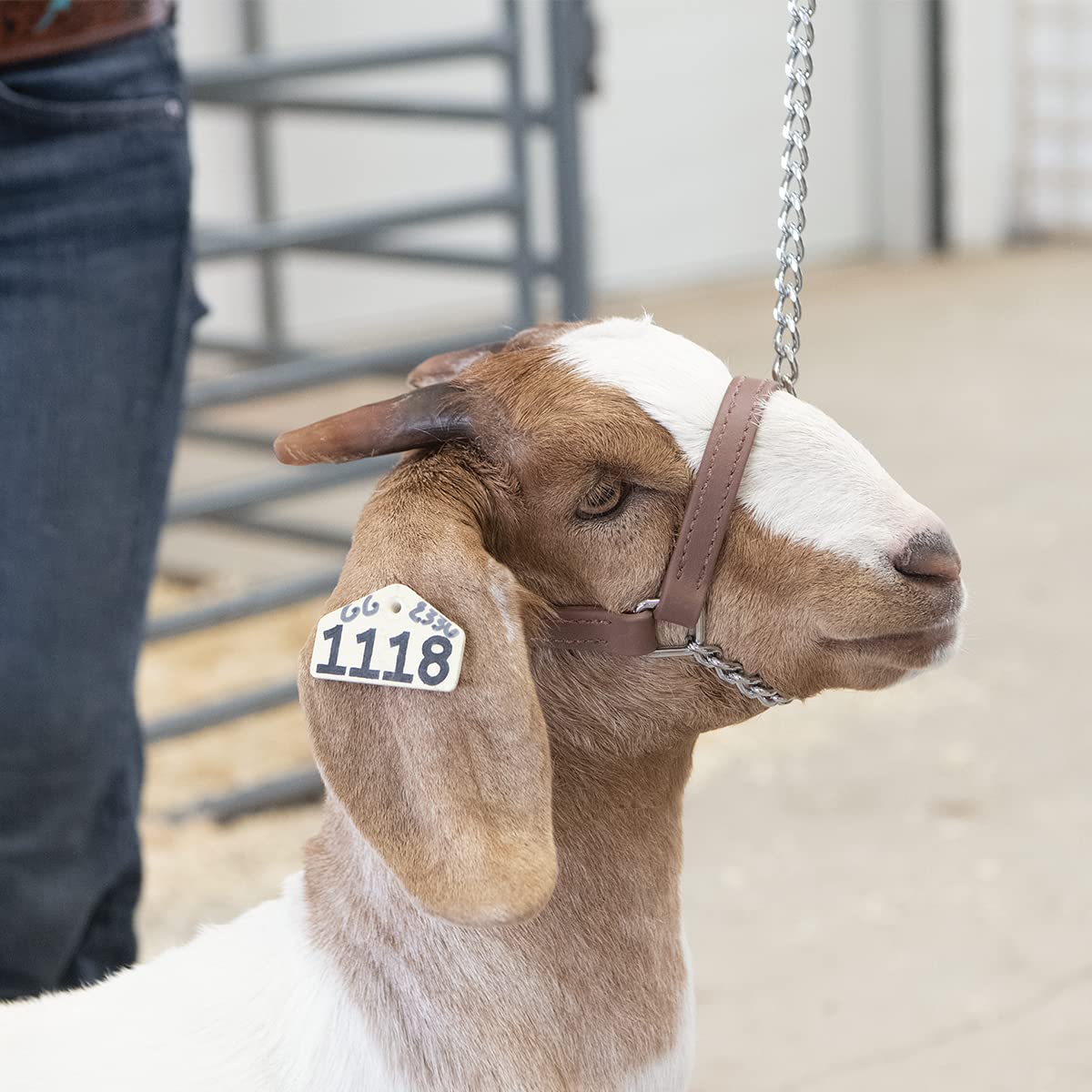 Weaver Livestock chain close-up showing sturdy snap for quick secure attachment