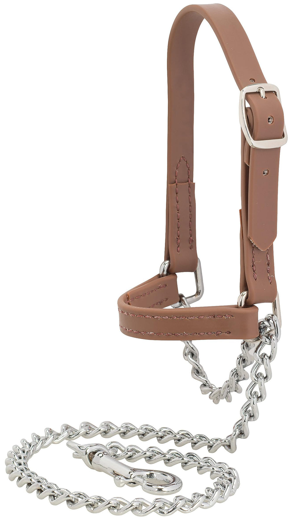 Weaver Livestock Brahma Webb halter on goat showing secure fit and improved control
