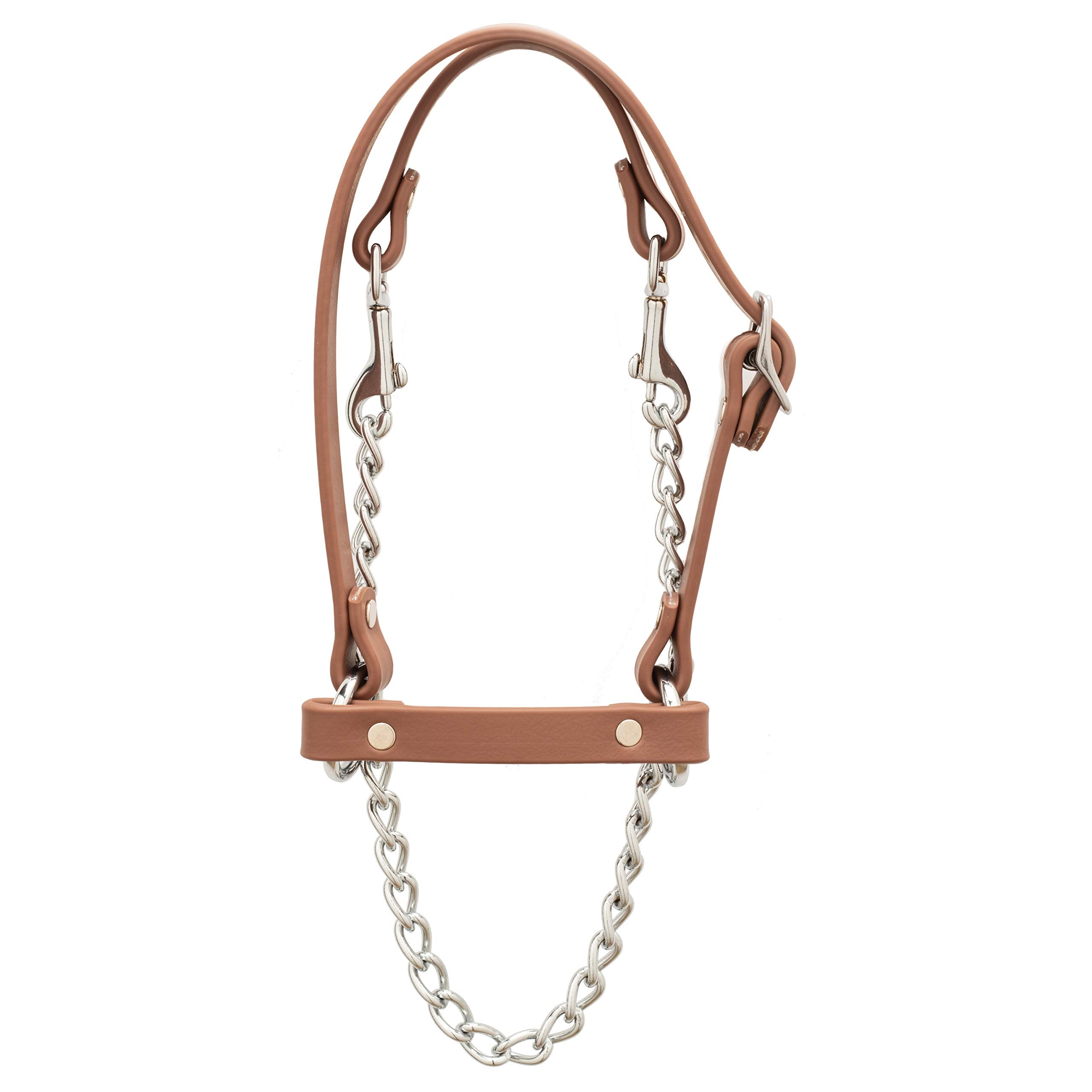 Weaver Livestock Brahma Webb halter front view showing fit and control benefits
