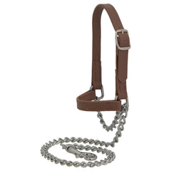 Weaver Livestock halter front view showing fit and polished look for better presentation
