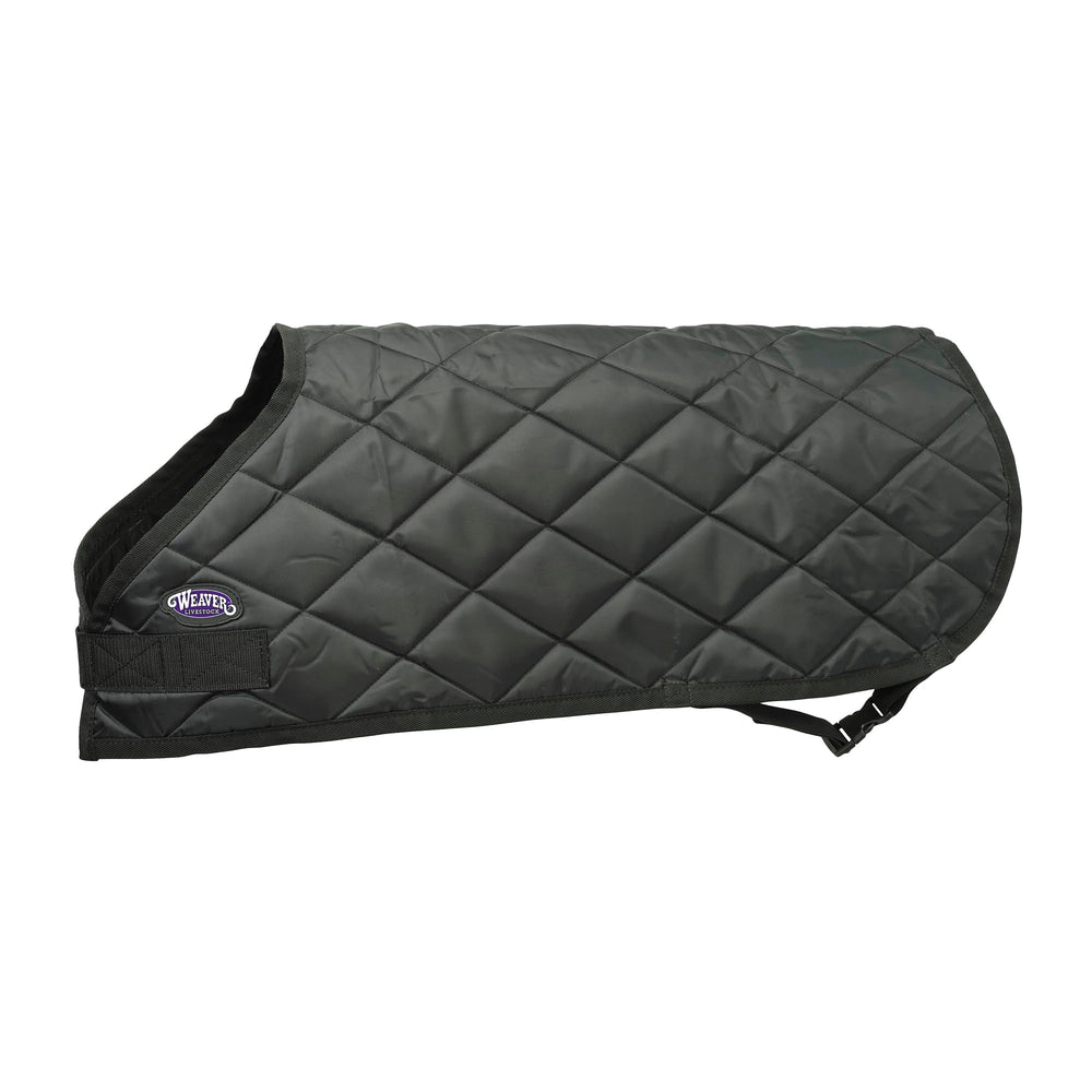 Weaver Livestock front view showing full calf blanket protecting coat