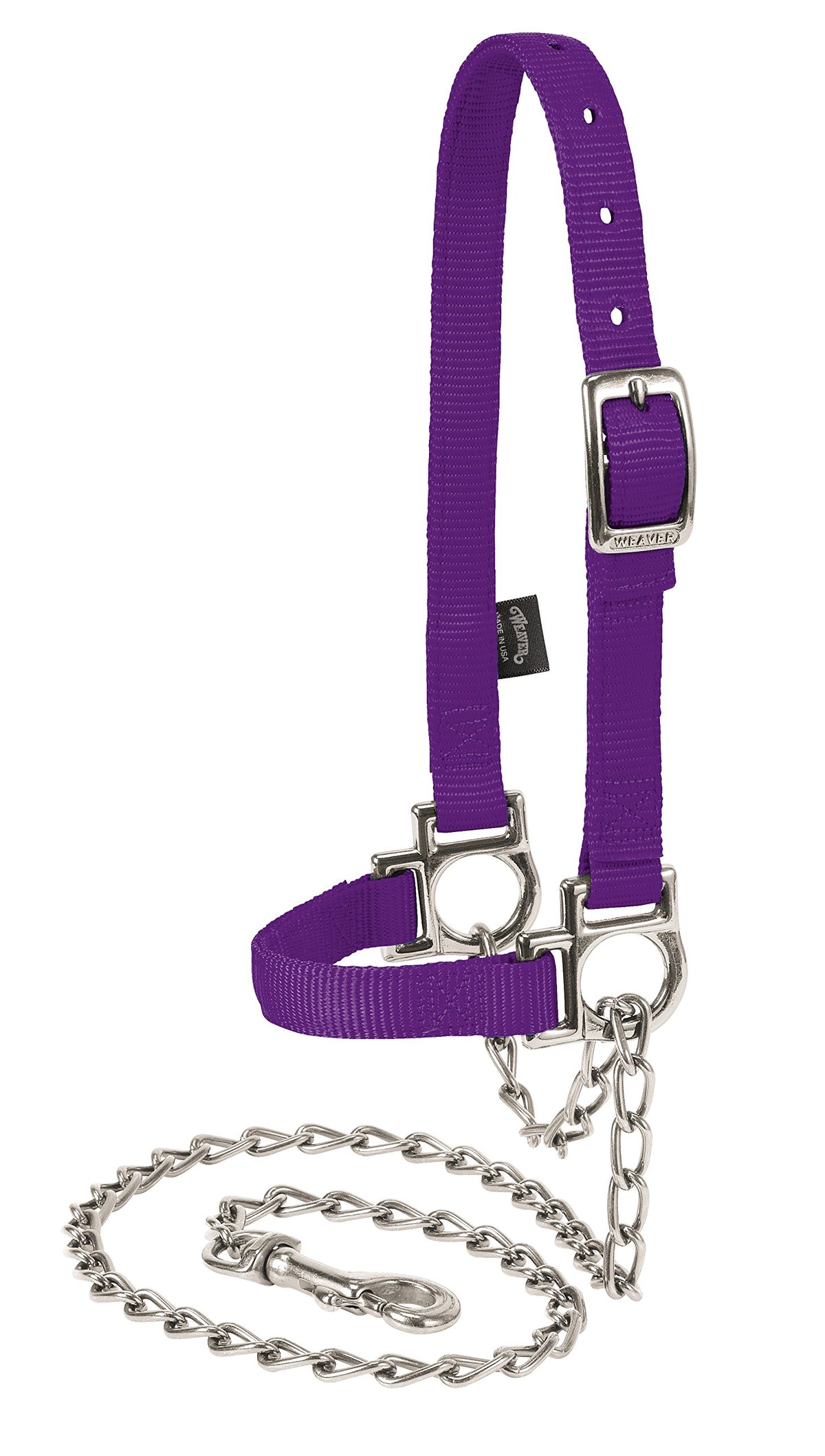 Weaver Livestock front view halter with chain lead showing fit and durable hardware