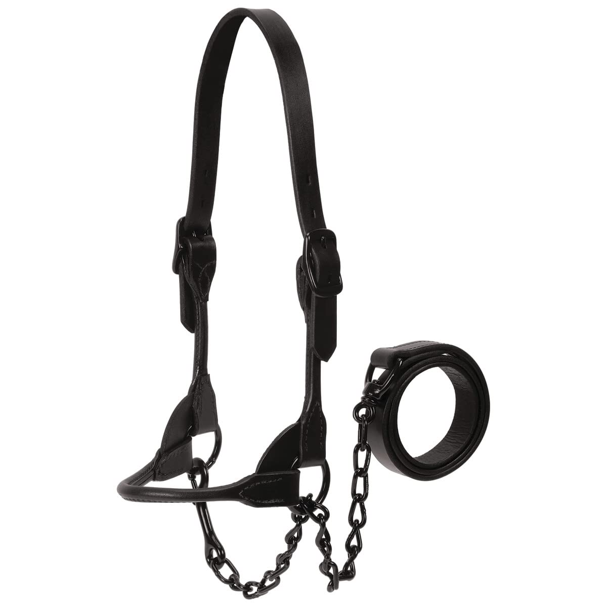 Weaver Livestock front view halter showing sleek black finish and professional look