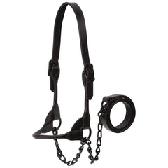 Weaver Livestock front view halter showing sleek black finish and professional look