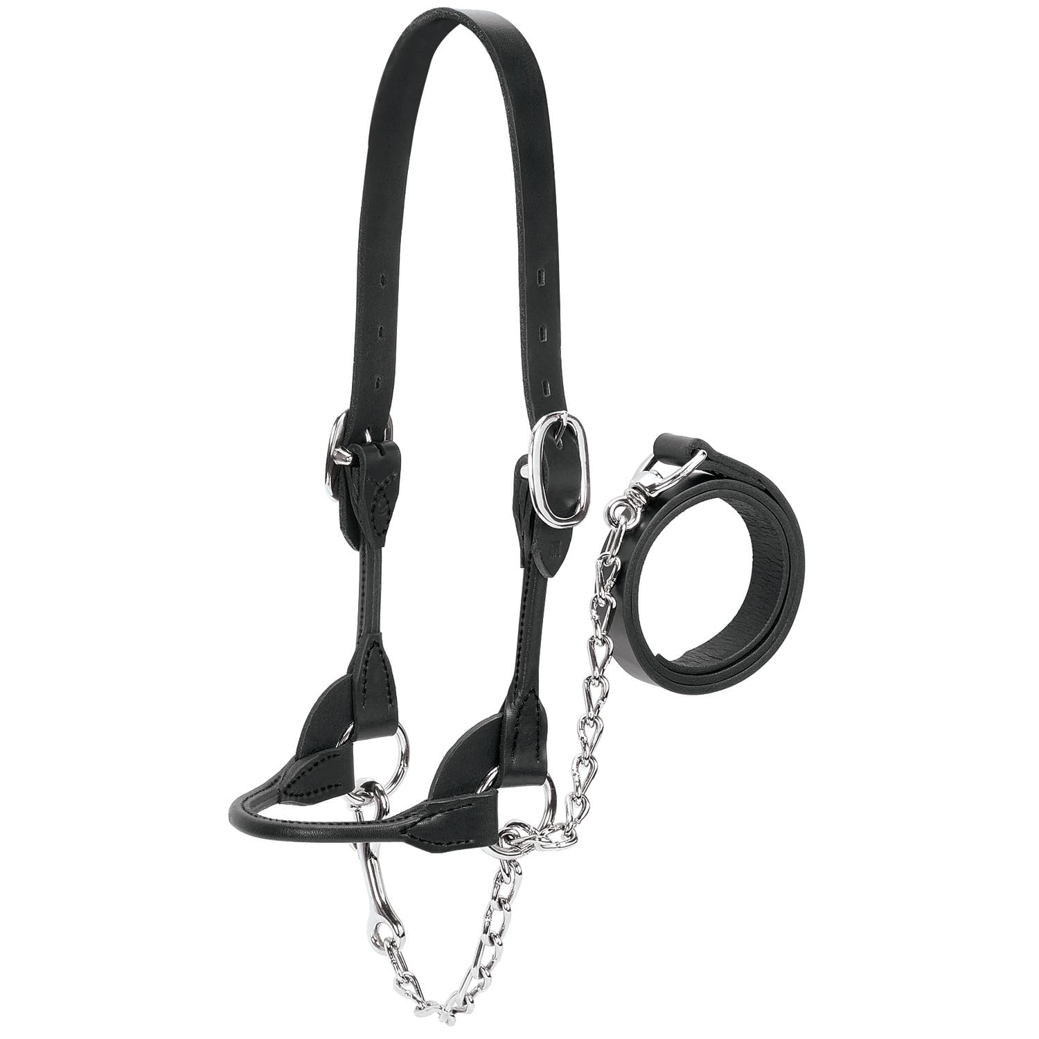 Weaver Livestock front view of black rounded show halter showcasing fit and finish