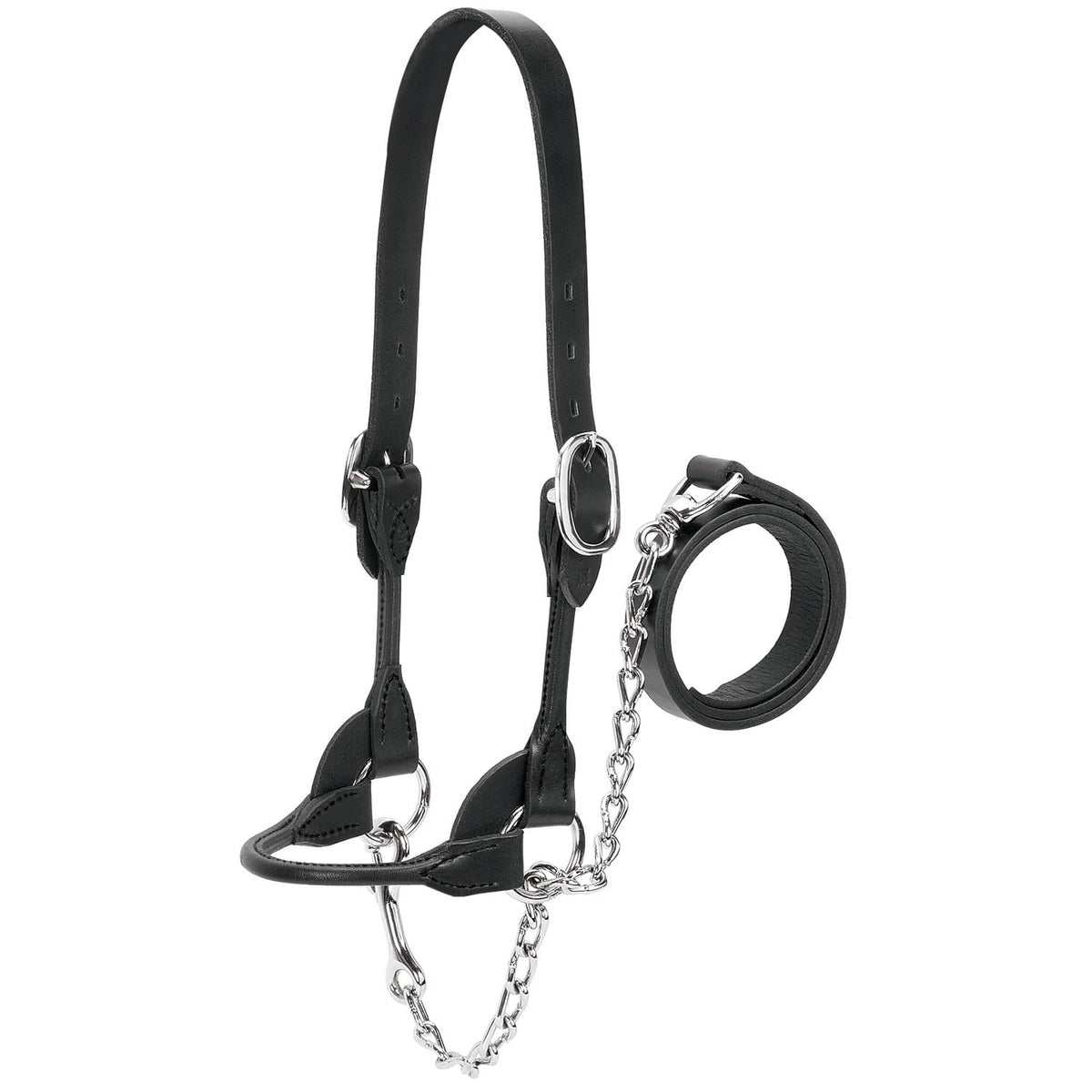 Weaver Livestock front view of black rounded show halter showcasing fit and finish