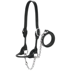 Weaver Livestock front view of black rounded show halter showcasing fit and finish