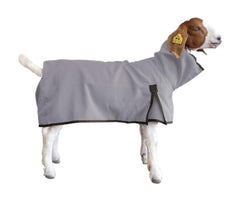 Weaver Livestock goat blanket front view showing fit and secure D-ring