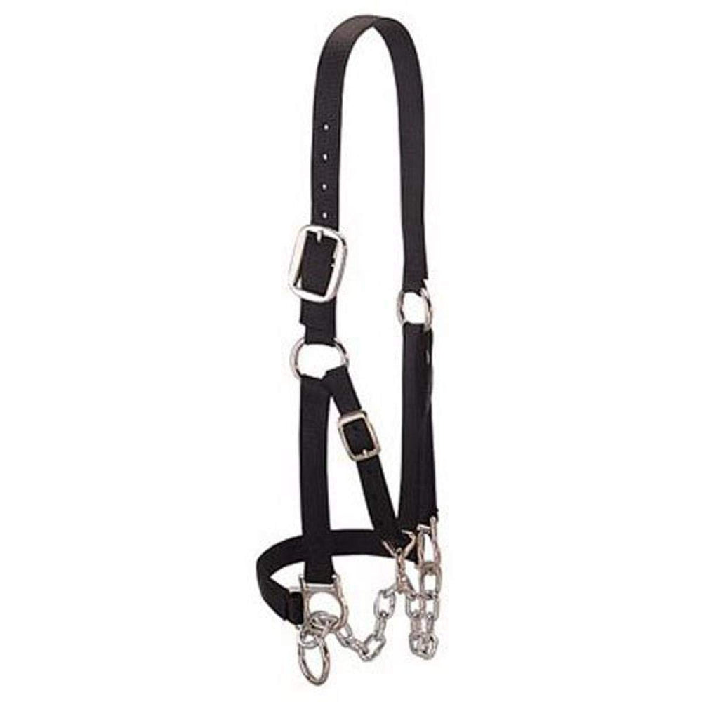 Weaver Livestock halter front view showing fit and durable hardware for reliable control