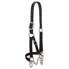 Weaver Livestock halter front view showing fit and durable hardware for reliable control
