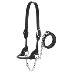 Weaver Livestock halter front view showing rounded noseband and polished finish for neat presentation