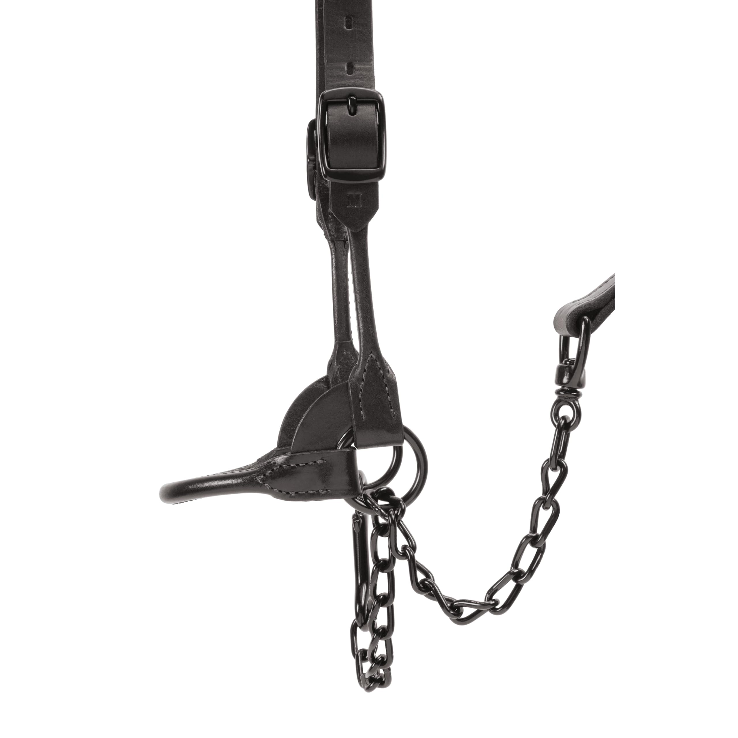 Weaver Livestock lead length and scale showing ideal 36-inch guidance reach